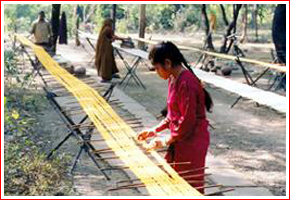 Kaithoon (Village of Handlooms , Kota)