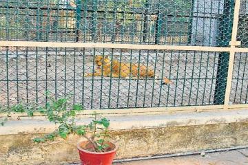घुटते-घुटते पीढ़ियां खत्म, जानवर बोलते तो जरूर कहते- ये कैसे इंसान?