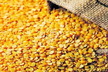 दाल ब्रोकर्स पर आयकर का सर्वे जारी, आज होगा खुलासा