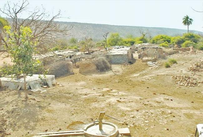मार्च तक रिलोकेट होंगे मुकुंदरा हिल्स के दो गांव, टाइगर आने में लगेंगे दो साल