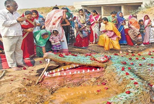जनता ने देवता मानकर पूजा, पर वन विभाग बहा रहा घड़ियाली आंसू