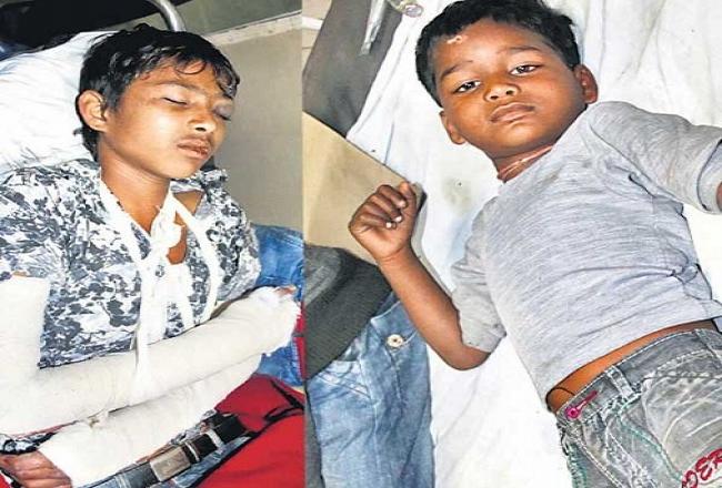 इनके लिए अच्छी नहीं रही संक्रांति, पतंग लूटने के चक्कर में छत से गिरे