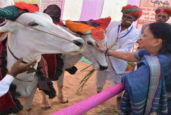 CM के सामने गायें आईं तो अफसरों को दिया नोटिस, अफसर पर कार्रवाई संभव