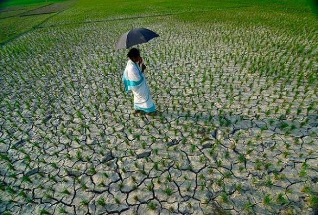 IMD to issue block-level forecasts soon