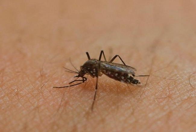 China reports first case of imported Zika virus