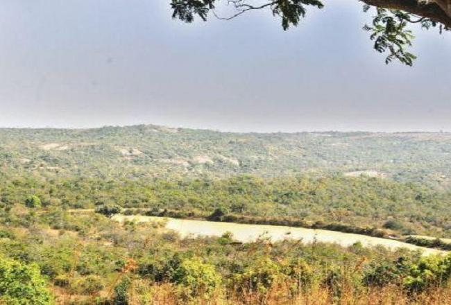 Leopard leaves Bannerghatta park officials stupefied