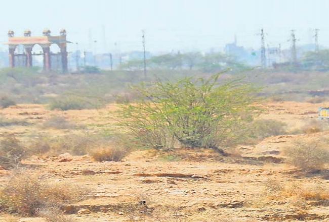 भास्कर ने भ्रष्टाचार उजागर किया तो पीड़ित का पट्‌टा रातोंरात निरस्त