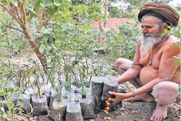 चंदन के पेड़ों से महकेंगे शहर के प्रमुख मंदिर, नागा बाबा तैयार कर रहे पौधे