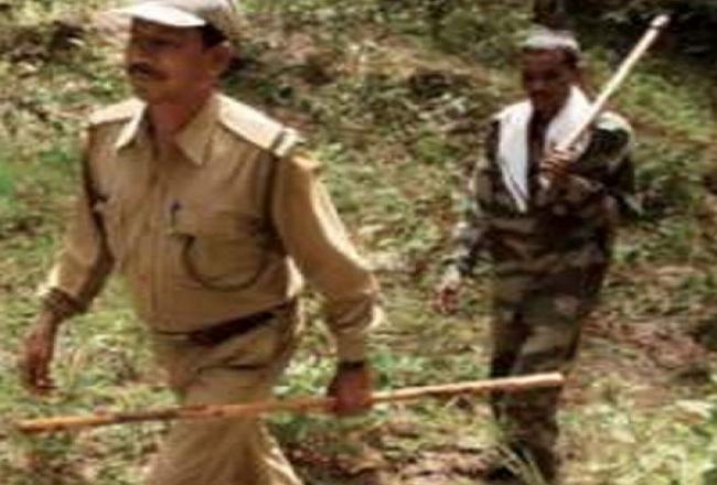 फॉरेस्ट गार्ड भर्ती में ज्यादा अंक वाले बाहर, कम वालों को लिया, सुधार में लगे अफसर