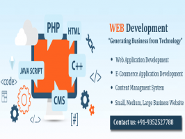 Web Development Services