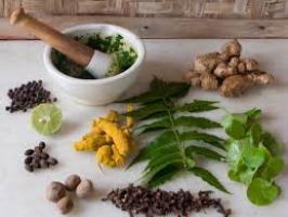 Ayurvedic Herbs