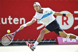 Devvarman goes down to Stepanek at Japan Open