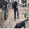 Police find switch that triggered Delhi high court blast