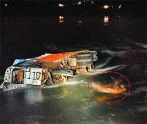 Two trucks collided on a bridge, fell into a river
