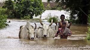 UP, Bihar & Orissa in deep water