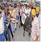 Unique way of protest: the government