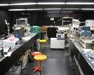 Went To The Lab Beaten The Technician By Family
