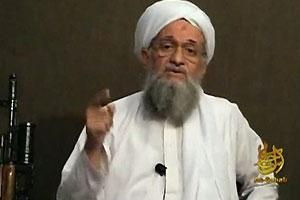 Zawahiri set up Osama, says new book